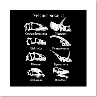 Types of Dinosaurs Table for Kids Posters and Art